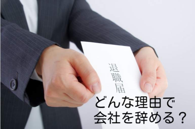New file (3)
